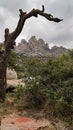 Vertical, Aguirre Spring Campground in New Mexico. Royalty Free Stock Photo