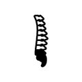 Black solid icon for Vertebra, anatomy and backbone