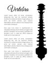 Vertebra Poster Bone Part Vector Illustration