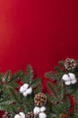 Verti shot of artificial spruce twigs with Christmas decorations isolated on a red background Royalty Free Stock Photo