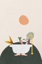 Vertical absurd photo collage of goose with fish tail lying in bathtub hold glass of drink rest relax enjoy spa on Royalty Free Stock Photo