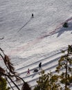 Vertical aerial shot of the snowy skiing area in Los Angeles National forest, CA, USA