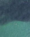 Vertical aerial view of a bait ball fish shoal in a crystal clear turquoise seawater Royalty Free Stock Photo