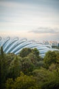 Vertical aerial view of the greenery in Singapore before the flower dome