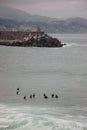 Vertical aerial view of a group of surfers in the ocean on the Cote Basque
