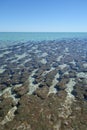 Vertical aerial view of scenic coral reefs in clear water with the bright blue sky