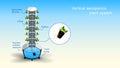 Vertical aeroponics plant system realistic detailed vector.