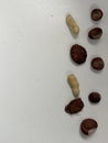 Vertical arrangement of nuts and seeds is displayed against a plain white background. Royalty Free Stock Photo