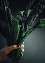 Vertical artistic shot of a hand holding fresh vibrant green kale leaves