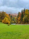 VERTICAL: Asphalt road runs past a lush green meadow and a fall colored forest. Royalty Free Stock Photo