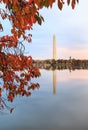 Vertical Autumn Washington DC Monument Royalty Free Stock Photo