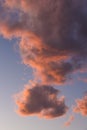 Vertical background of a blue sky and orange fluffy clouds during sunset Royalty Free Stock Photo