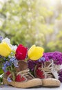 Vertical background bouquet of summer flowers in old shoes Royalty Free Stock Photo