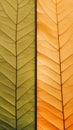 Vertical background of macro texture colourful autumn leaves