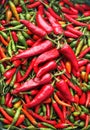 Vertical background of redchilly peppers Royalty Free Stock Photo