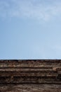 Vertical background from the roof of the building covered with dry ivy Royalty Free Stock Photo