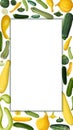 Vertical banner with different types of summer squash. Cucurbita. Cucurbitaceae. Fruits and vegetables. Isolated vector