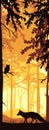 Vertical banner of forest landscape. Fox and owl in magic misty forest. Silhouettes of trees and animals.