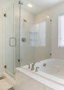 Vertical Bathtub and frameless shower stall with white marble wall surround