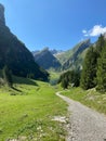 Vertical of a beautiful landscape of a green valley trail surrounded by alpine mountains Royalty Free Stock Photo