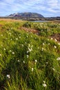 Vertical Beautiful summer icelandic landscape panoramic view with grassland, colorful mountain ranges and beautiful sky background