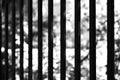 Vertical black and white prison cell bokeh background Royalty Free Stock Photo