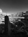 Vertical black and white shot of the Colosseum in Rome, Italy