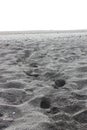 Vertical black and white shot of sand in a beach in Iceland Royalty Free Stock Photo