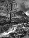 Vertical black-and-white shot of a small waterfall in a rocky park with a leafless tree near it Royalty Free Stock Photo