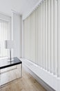 Vertical blinds Royalty Free Stock Photo