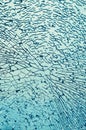 Vertical blue broken glass Royalty Free Stock Photo