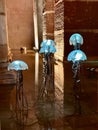 Vertical of blue glowing jellyfish statues in the restored Basilica Cistern, Istanbul, Turkey