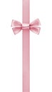 Vertical border with rose pink color ribbon bow