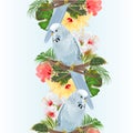 Vertical border seamless background bird Budgerigar, home pet ,blue pet parakeet on a branch bouquet with tropical flowers hibisc Royalty Free Stock Photo