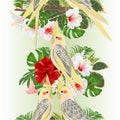 Vertical border seamless background   parrots yellow cockatiel cute tropical bird  and red and white hibiscus watercolor style on Royalty Free Stock Photo