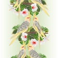 Vertical border seamless background   parrots yellow cockatiel cute tropical bird  and white hibiscus watercolor style on a green Royalty Free Stock Photo