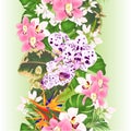 Vertical border seamless background tropical flowers  floral arrangement with beautiful Strelitzia  and white and pink orchids Royalty Free Stock Photo