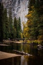 Vertical of a bridge on a river in autumn in Yosemite, USA
