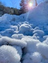 VERTICAL: Bright winter morning sunbeams shine on the frozen crystals of snow.