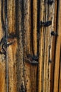 Vertical burned knot pattern fence old weathered wood Royalty Free Stock Photo