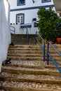 Vertical of a cat sitting on cobblestone staircase against houses on a sunny day