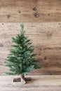 Vertical Christmas Tree, Aged Wooden Background, Shabby Chic