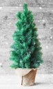 Vertical Christmas Tree, Gray Wooden Background, Snowflakes