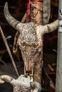 Vertical close-up of carved bull skull