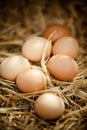 Vertical close-up of fresh brown eggs on straw