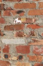 Vertical close up image of red brick wall Royalty Free Stock Photo