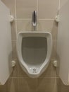 Vertical close up of a single ceramic urinal fixed on a beige tile wall separated by privacy walls