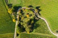 Autumn-colored vineyards in the Rheingau Royalty Free Stock Photo