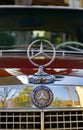 Vertical close-up view of a Mercedes Benz classic car frontal logo