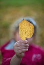 Vertical closeup of a baby girl's hand holding a yellow Tilia cordata leaf and blurred background